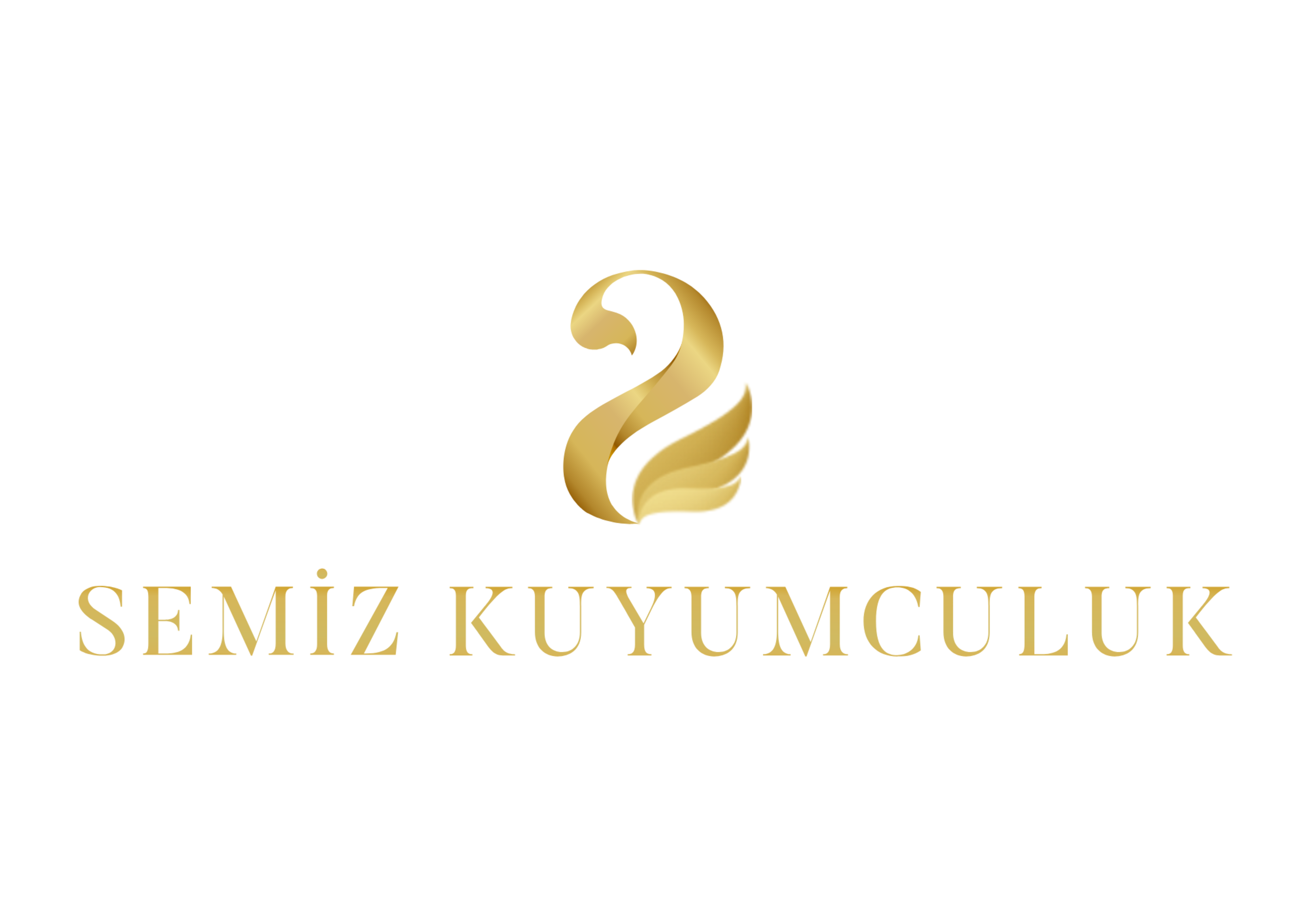 SEMİZ logo vektörel PNG büyük.png (376 KB)